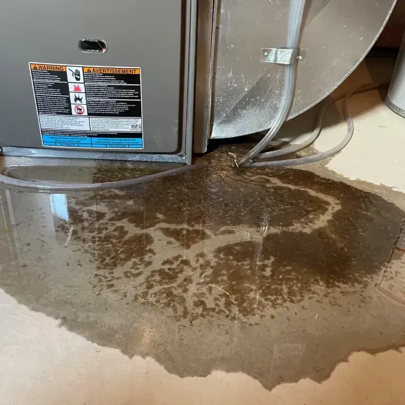 Appliance Leak Cleanup in Hinton, WV